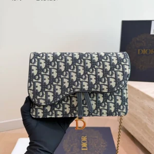Dior Woc Chain Bag